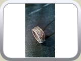 FOTF17F.JPG silver weave ring (Small)